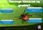 ulotka dlaczego kleszcze są groźne