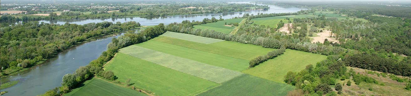 Gmina Czernikowo z lotu ptaka