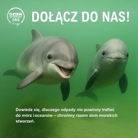 Dwa płynące delfiny