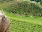 27.09.2025 - Klub Młodzieżowy Młodych odkrywców zdjęcie 17