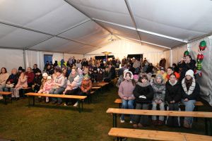 Świąteczne atrakcje w czernikowskim Parku 700-lecia zdjęcie 8