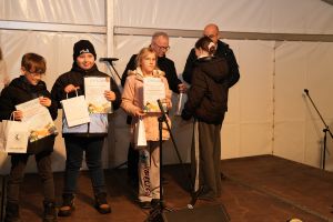 Świąteczne atrakcje w czernikowskim Parku 700-lecia zdjęcie 19