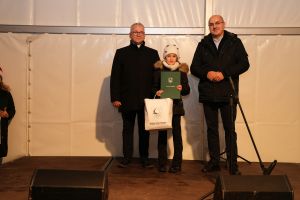 Świąteczne atrakcje w czernikowskim Parku 700-lecia zdjęcie 26