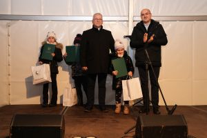 Świąteczne atrakcje w czernikowskim Parku 700-lecia zdjęcie 29