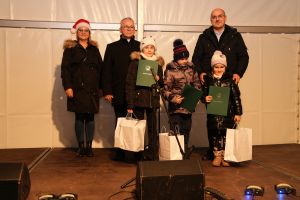 Świąteczne atrakcje w czernikowskim Parku 700-lecia zdjęcie 30