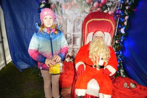 Świąteczne atrakcje w czernikowskim Parku 700-lecia zdjęcie 87