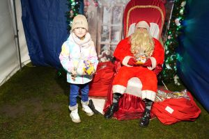 Świąteczne atrakcje w czernikowskim Parku 700-lecia zdjęcie 132