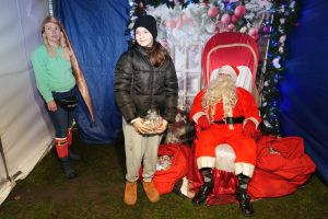 Świąteczne atrakcje w czernikowskim Parku 700-lecia zdjęcie 151