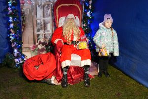 Świąteczne atrakcje w czernikowskim Parku 700-lecia zdjęcie 185