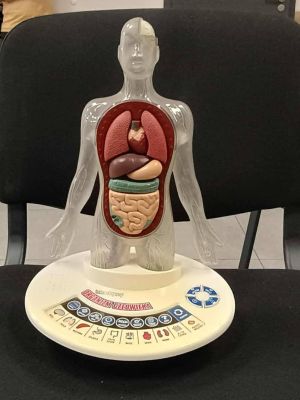 18.11.2025 - Klub Młodzieżowy Młodych odkrywców zdjęcie 1