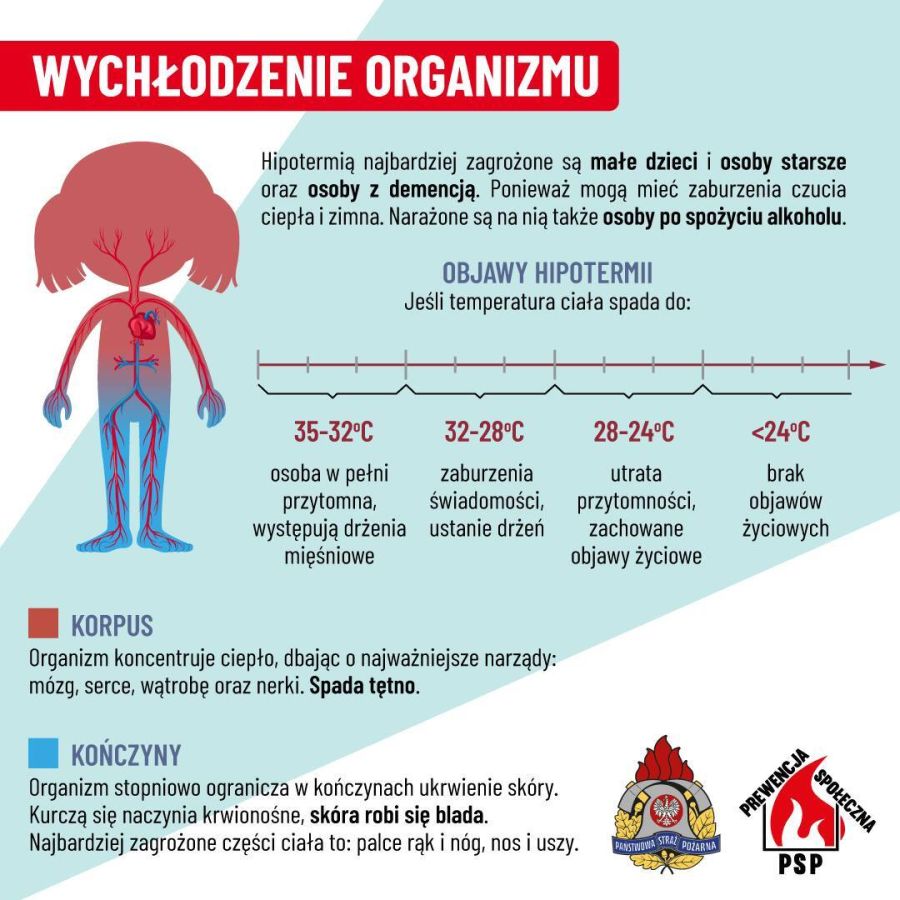 Plakat Wychłodzenie organizmu