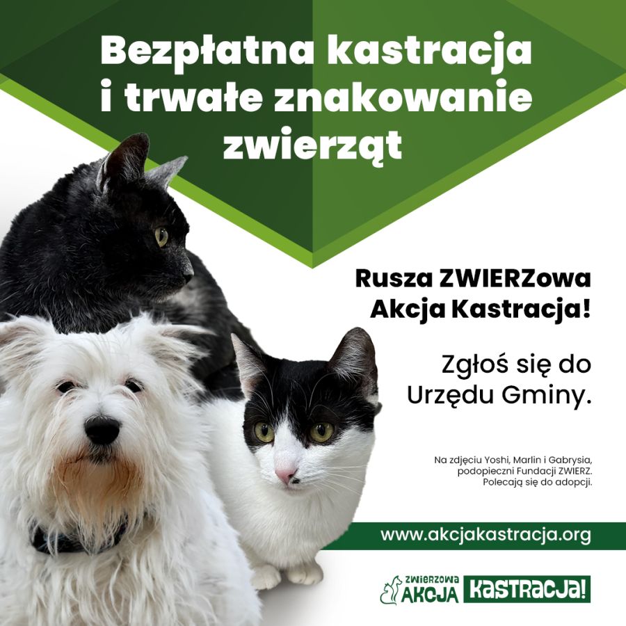 Plakat - ZWIERZowa Akcji Kastracja