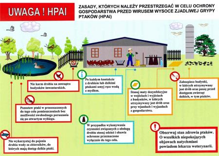 Ptasia Grypa – Informacja Dla Hodowców Drobiu