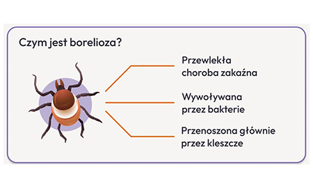 Kleszcz? Najważniejsze są pierwsze godziny