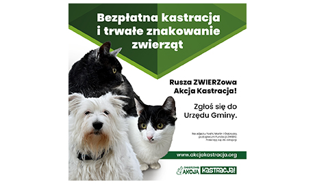 ZWIERZowa Akcji Kastracja