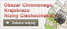 Obszar Chronionego Krajobrazu Niz. Ciechocińskiej