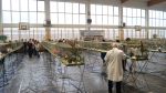 Wystawa Gołębi i Ptactwa Ozdobnego zdjęcie 19