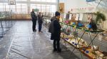 Wystawa Gołębi i Ptactwa Ozdobnego zdjęcie 34