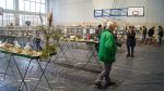 Wystawa Gołębi i Ptactwa Ozdobnego zdjęcie 39