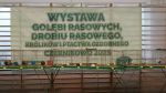 Regionalna Wystawa Hodowlana w Czernikowie zdjęcie 1