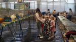 Regionalna Wystawa Hodowlana w Czernikowie zdjęcie 8