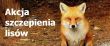 Akcja doustnego szczepienia lisów wolno żyjących Przeciwko wściekliźnie plakat