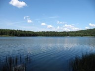 Jezioro Zacisze