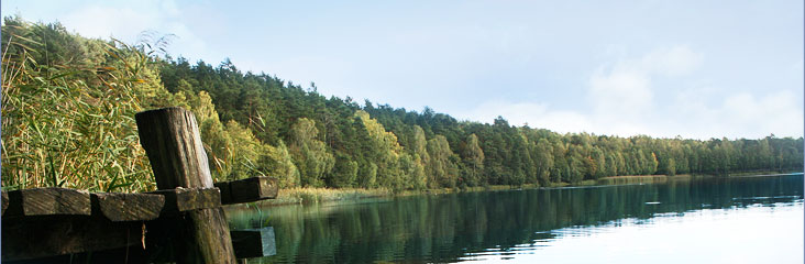 Czernikowo - widok nr 2
