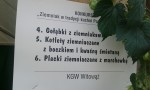 KGW Witowąż na „Święcie Ziemniaka”