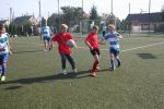 Gminne zawody w piłce nożnej chłopców-rocznik 2005 i młodsi