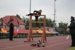 Zawody Sportowo-Pożarnicze OSP - młodzież