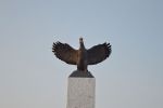 Odsłonięcie Pomnika Niepodległości