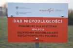 Odsłonięcie Pomnika Niepodległości